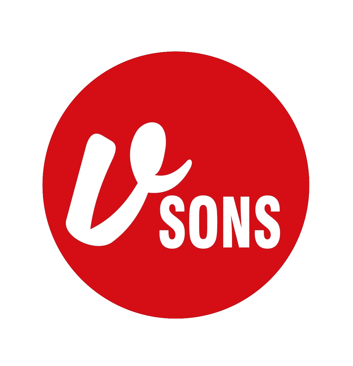 V Sons Group Logo